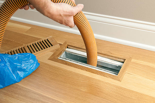 Air Duct Mold Removal in Fort Madison, IA