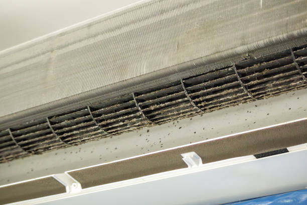 Best HVAC System Cleaning  in Fort Madison, IA